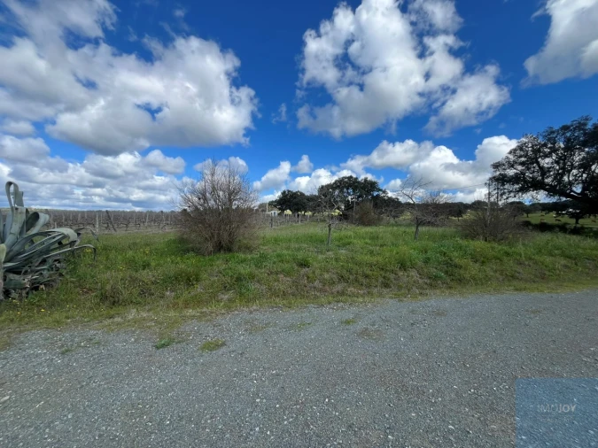 Quinta T4 para Venda em Avis Foto 36