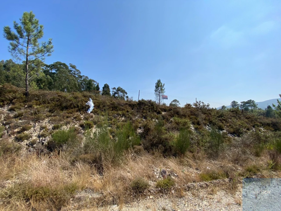 Terreno para Venda em Campo e Sobrado Foto 10