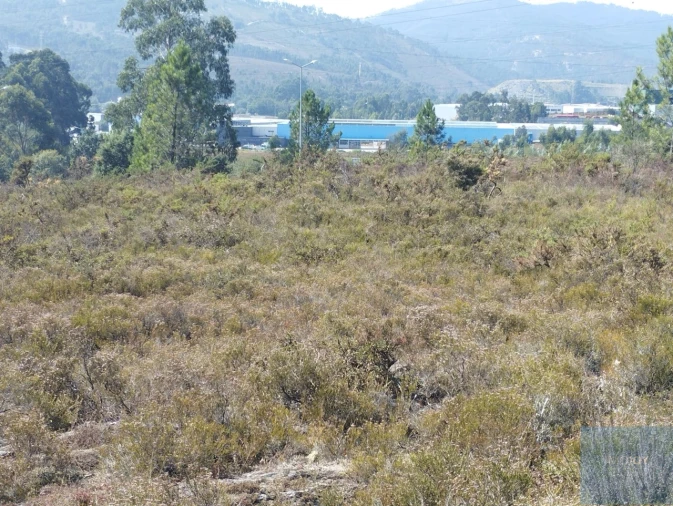 Terreno para Venda em Campo e Sobrado Foto 2