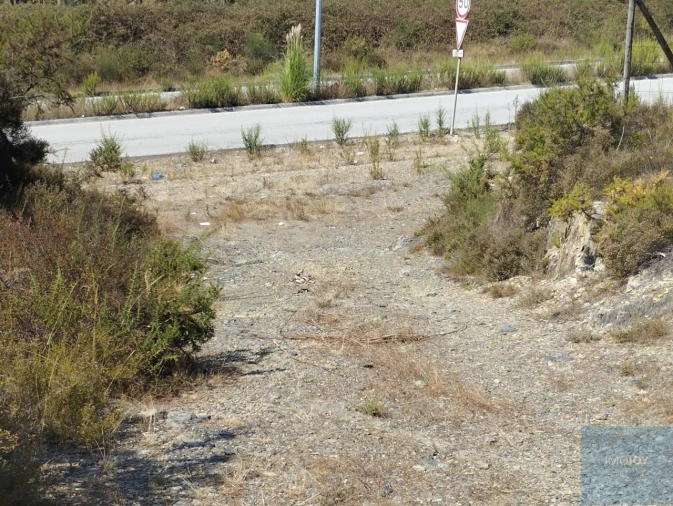 Terreno para Venda em Campo e Sobrado Foto 5
