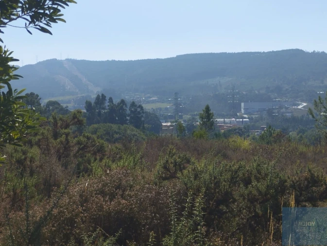Terreno para Venda em Campo e Sobrado Foto 6