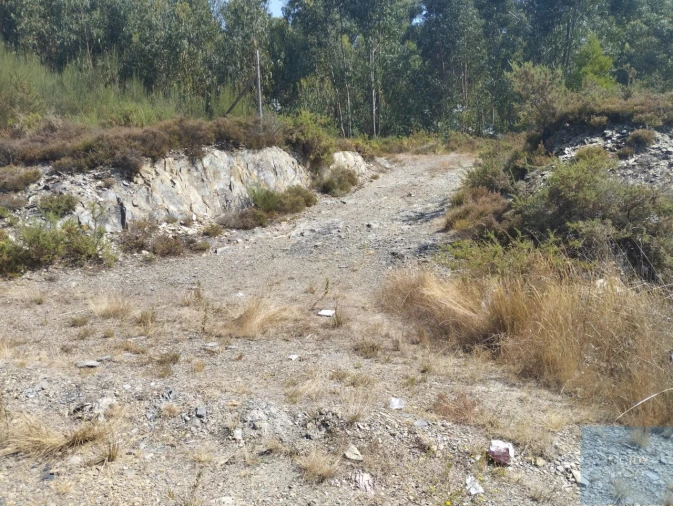 Terreno para Venda em Campo e Sobrado Foto 8