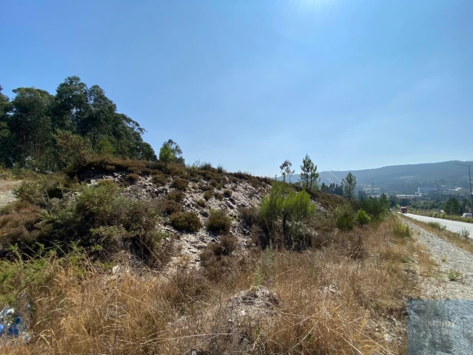Terreno para Venda em Campo e Sobrado Foto 13