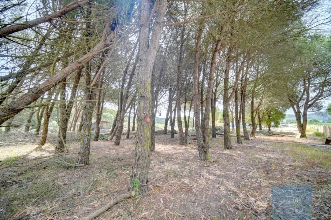 Moradia T3 para Venda em Alcoentre Foto 48