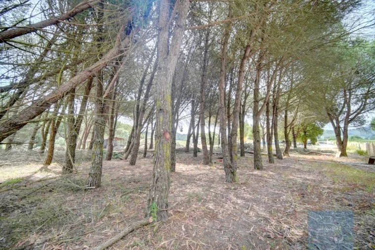 Moradia T3 para Venda em Alcoentre Foto 48