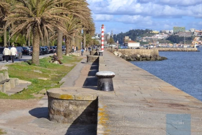 Apartamento T2 para Arrendamento em Aldoar, Foz do Douro e Nevogilde