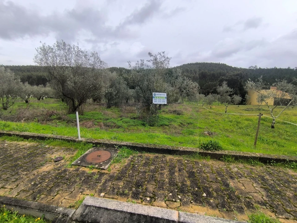 Terreno para Venda em Abrantes (São Vicente e São João) e Alferrarede Foto 2