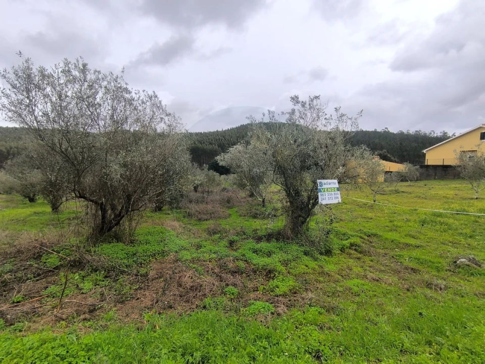 Terreno para Venda em Abrantes (São Vicente e São João) e Alferrarede Foto 6