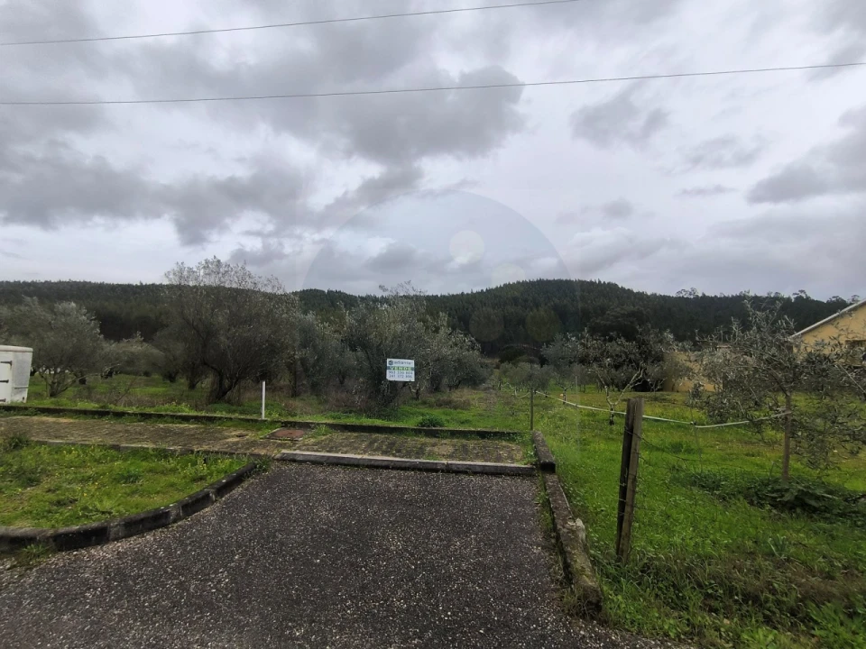 Terreno para Venda em Abrantes (São Vicente e São João) e Alferrarede Foto 9