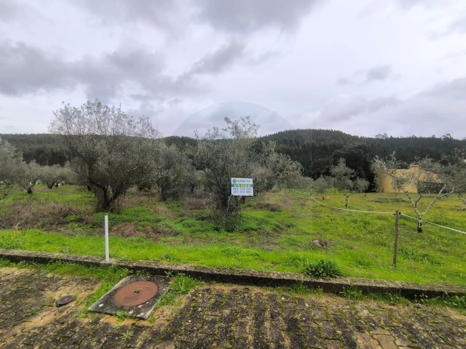 Terreno para Venda em Abrantes (São Vicente e São João) e Alferrarede Foto 1
