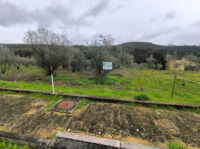 Terreno para Venda em Abrantes (São Vicente e São João) e Alferrarede Foto 2