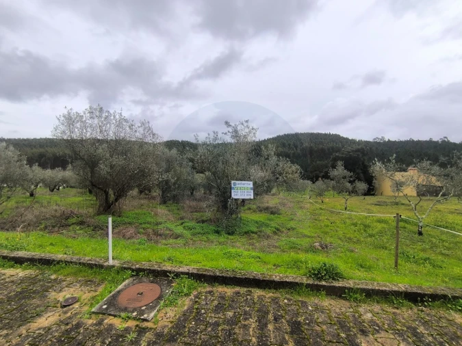 Terreno para Venda em Abrantes (São Vicente e São João) e Alferrarede Foto 3