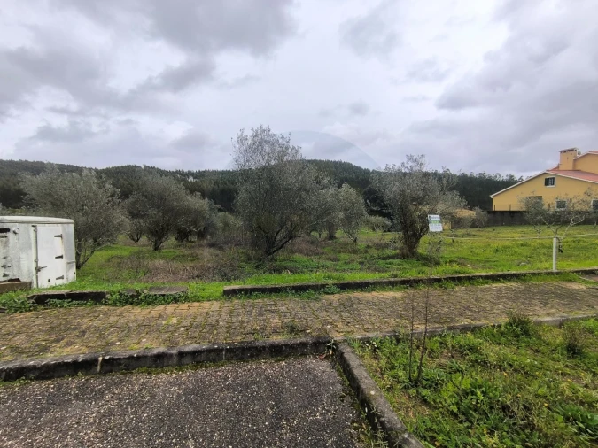 Terreno para Venda em Abrantes (São Vicente e São João) e Alferrarede Foto 4