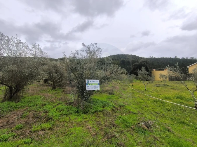 Terreno para Venda em Abrantes (São Vicente e São João) e Alferrarede Foto 5