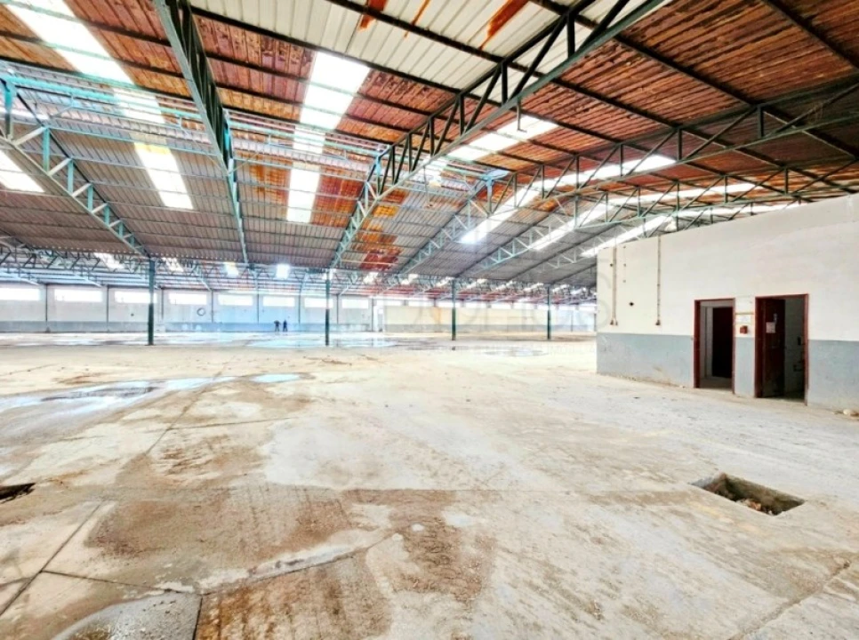 Armazém para Venda em Torres Novas (Santa Maria, Salvador e Santiago) Foto 23