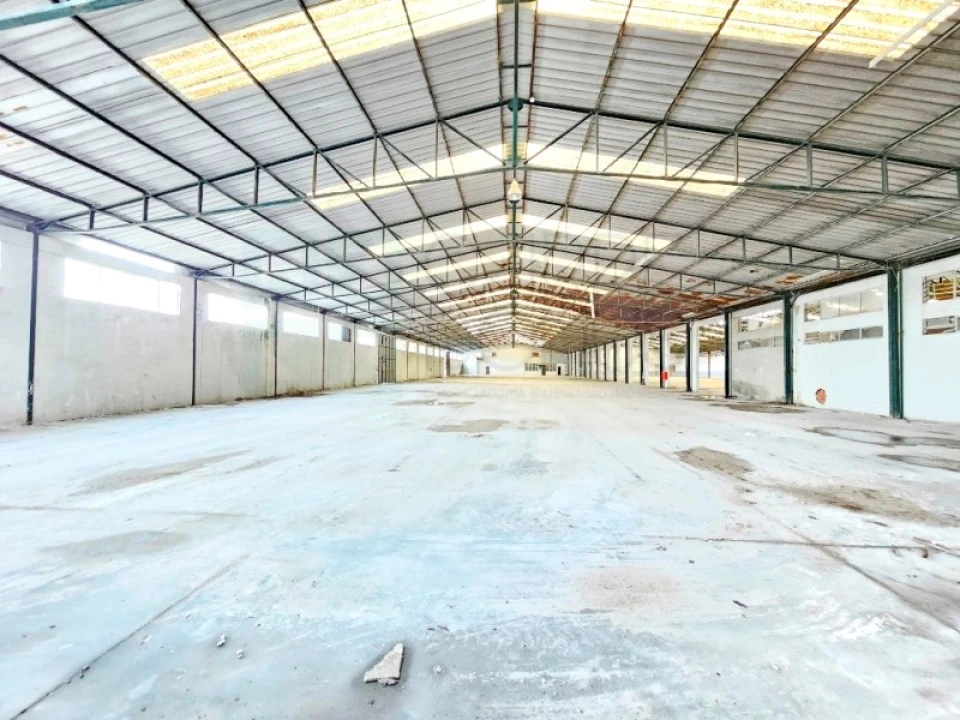 Armazém para Venda em Torres Novas (Santa Maria, Salvador e Santiago) Foto 27