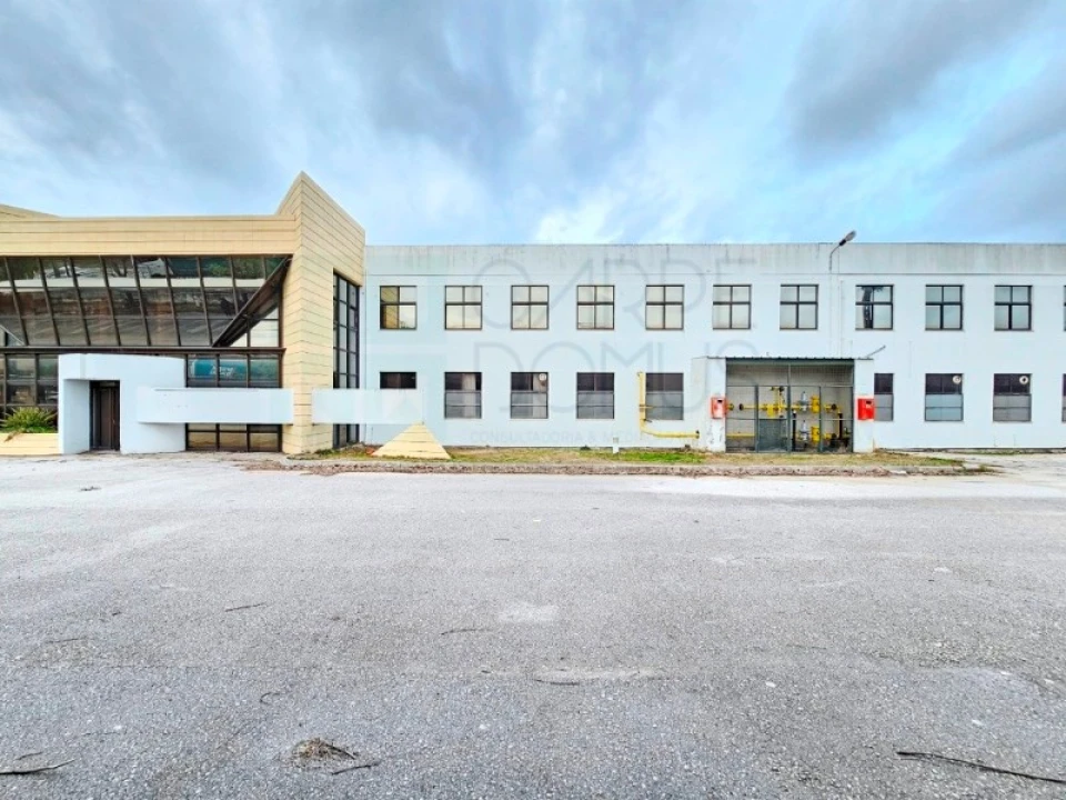 Armazém para Venda em Torres Novas (Santa Maria, Salvador e Santiago) Foto 53