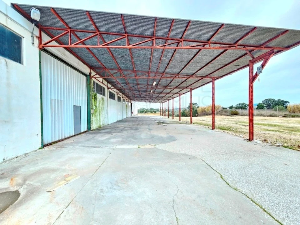 Armazém para Venda em Torres Novas (Santa Maria, Salvador e Santiago) Foto 56