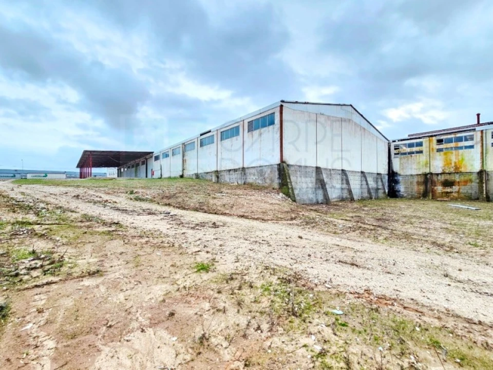 Armazém para Venda em Torres Novas (Santa Maria, Salvador e Santiago) Foto 58