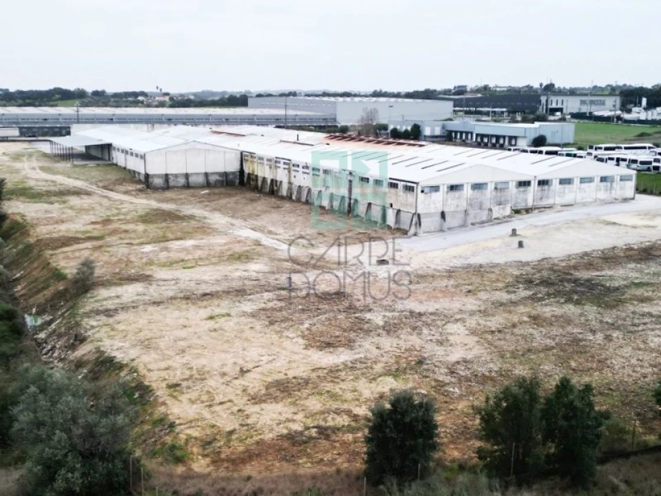 Armazém para Venda em Torres Novas (Santa Maria, Salvador e Santiago) Foto 66