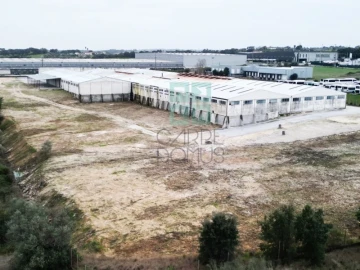 Armazém para Venda em Torres Novas (Santa Maria, Salvador e Santiago)
