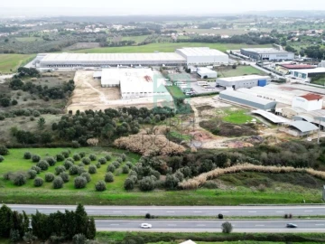 Armazém para Venda em Torres Novas (Santa Maria, Salvador e Santiago)