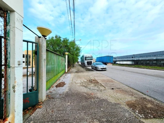 Armazém para Venda em Torres Novas (Santa Maria, Salvador e Santiago) Foto 6