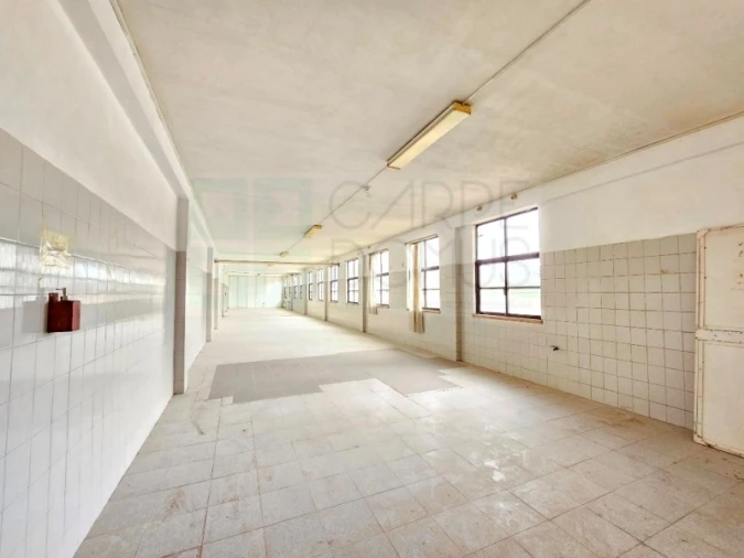 Armazém para Venda em Torres Novas (Santa Maria, Salvador e Santiago) Foto 14