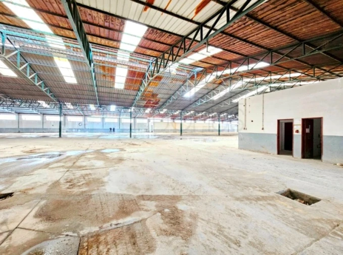 Armazém para Venda em Torres Novas (Santa Maria, Salvador e Santiago) Foto 23