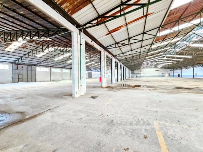 Armazém para Venda em Torres Novas (Santa Maria, Salvador e Santiago) Foto 24