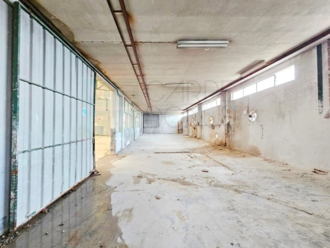 Armazém para Venda em Torres Novas (Santa Maria, Salvador e Santiago) Foto 30