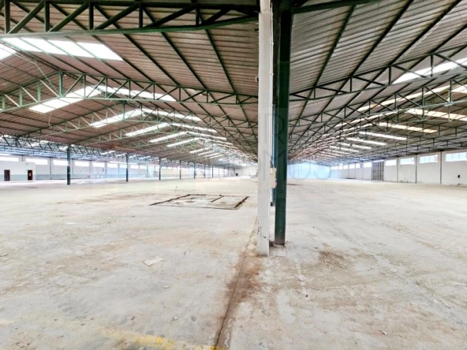 Armazém para Venda em Torres Novas (Santa Maria, Salvador e Santiago) Foto 37