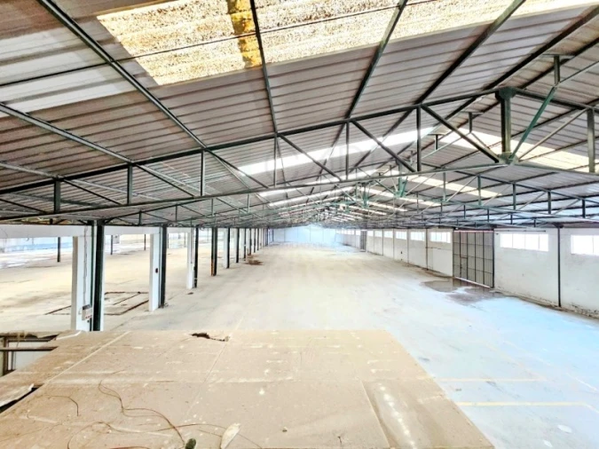 Armazém para Venda em Torres Novas (Santa Maria, Salvador e Santiago) Foto 44