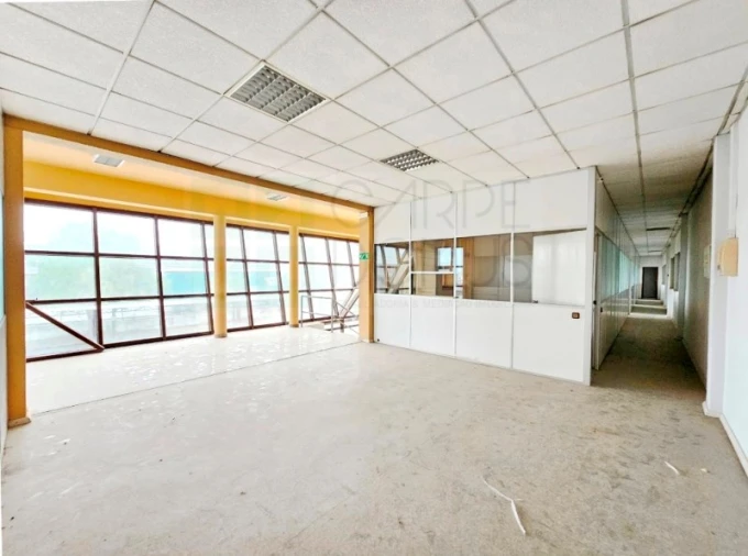 Armazém para Venda em Torres Novas (Santa Maria, Salvador e Santiago) Foto 47