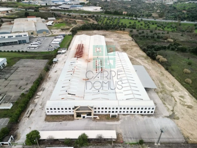 Armazém para Venda em Torres Novas (Santa Maria, Salvador e Santiago) Foto 61