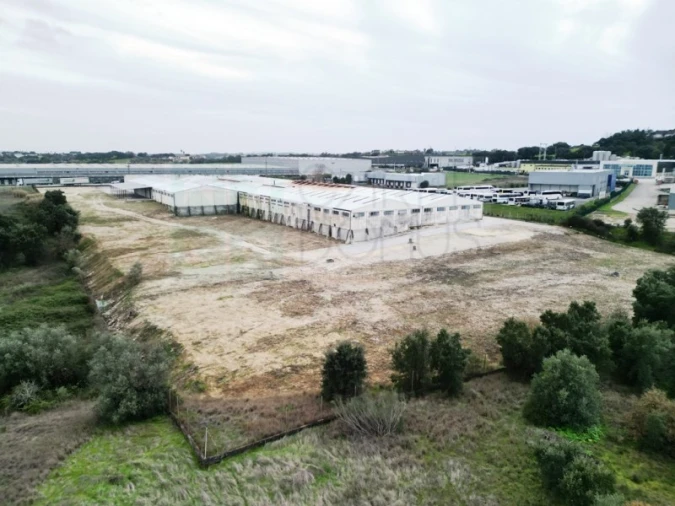Armazém para Venda em Torres Novas (Santa Maria, Salvador e Santiago) Foto 65