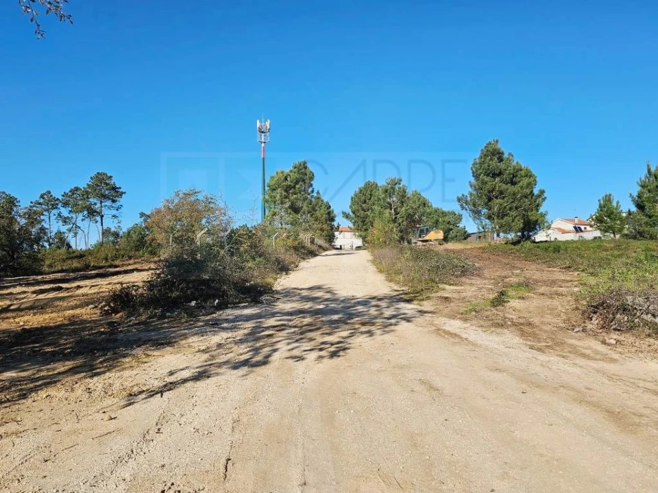 Terreno para Venda em Pelariga Foto 17