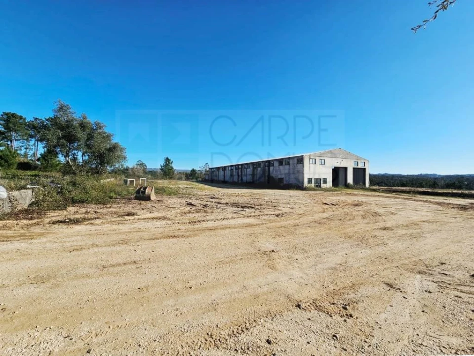 Terreno para Venda em Pelariga Foto 54