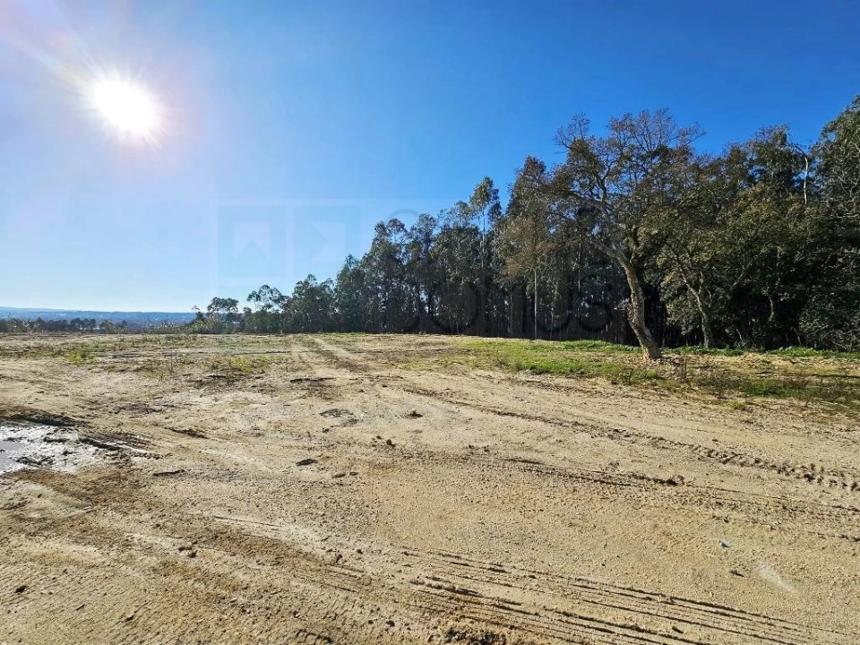 Terreno para Venda em Pelariga Foto 55