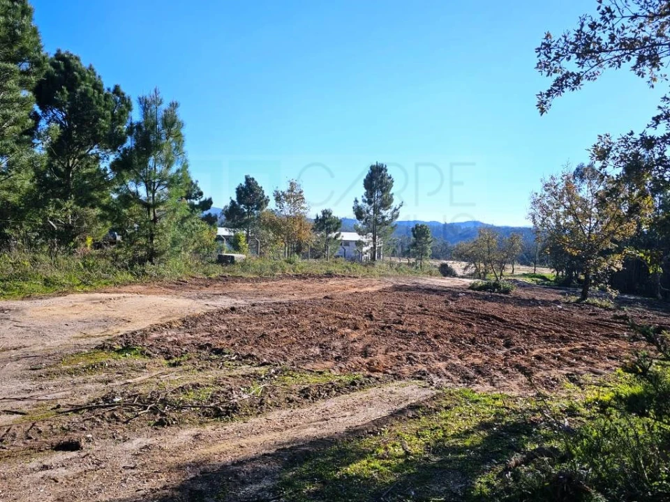 Terreno para Venda em Pelariga Foto 56