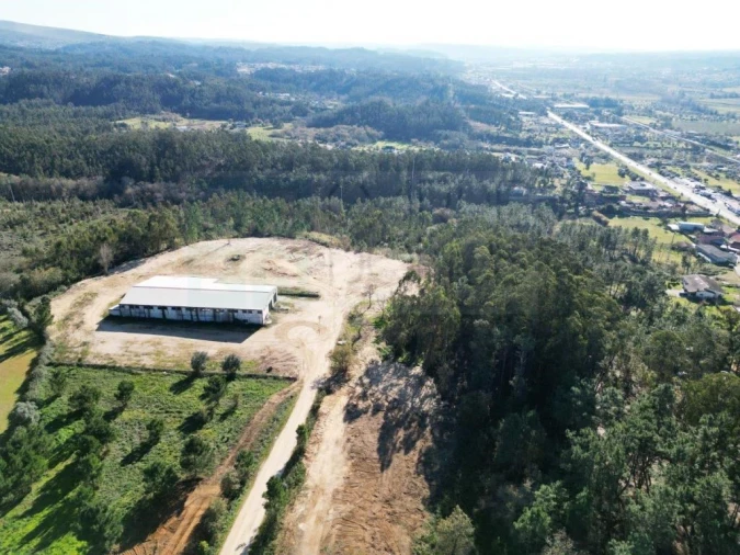 Terreno para Venda em Pelariga Foto 12