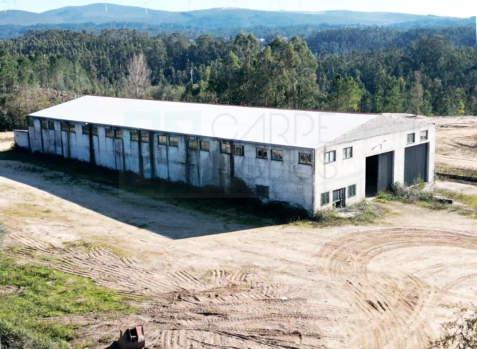 Terreno para Venda em Pelariga Foto 13