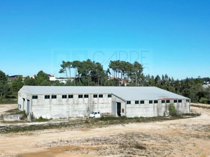 Terreno para Venda em Pelariga Foto 14