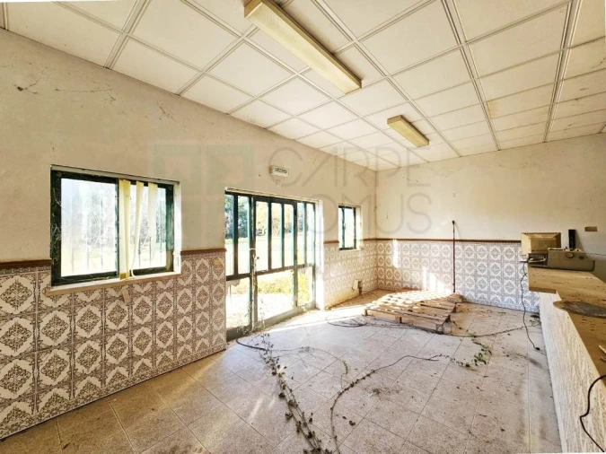 Terreno para Venda em Pelariga Foto 24