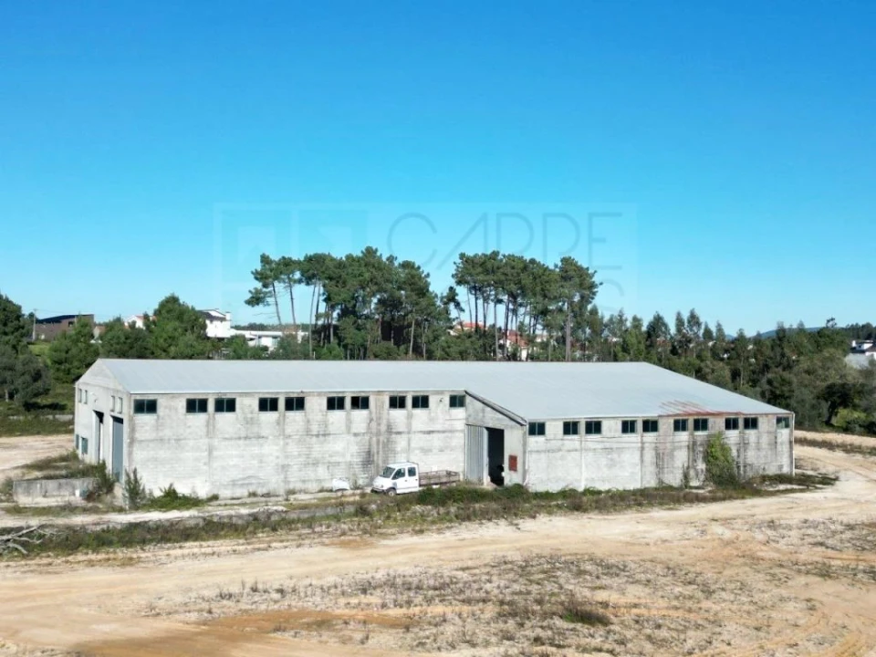 Armazém para Venda em Pelariga Foto 12