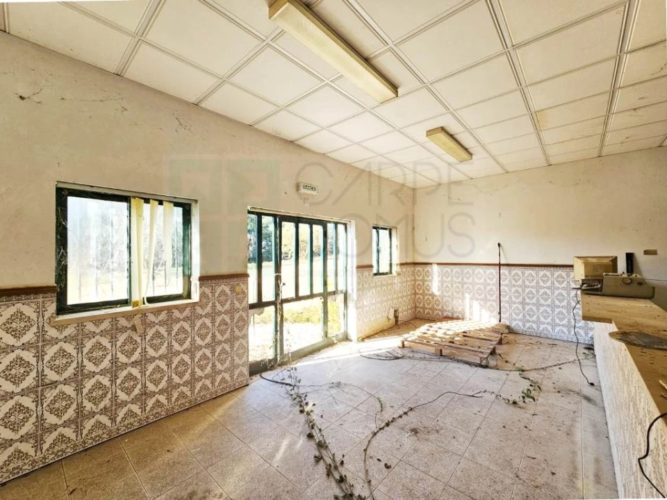 Armazém para Venda em Pelariga Foto 22