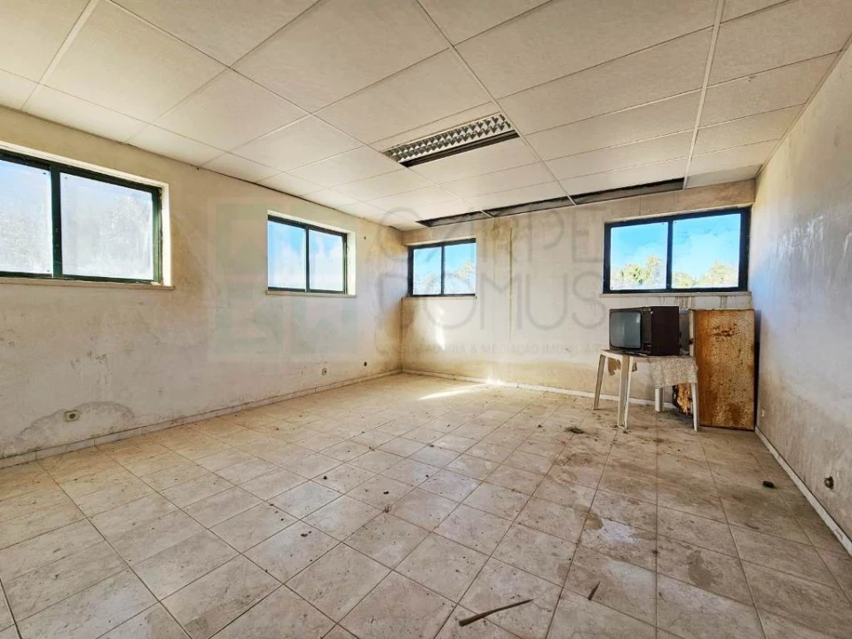 Armazém para Venda em Pelariga Foto 34