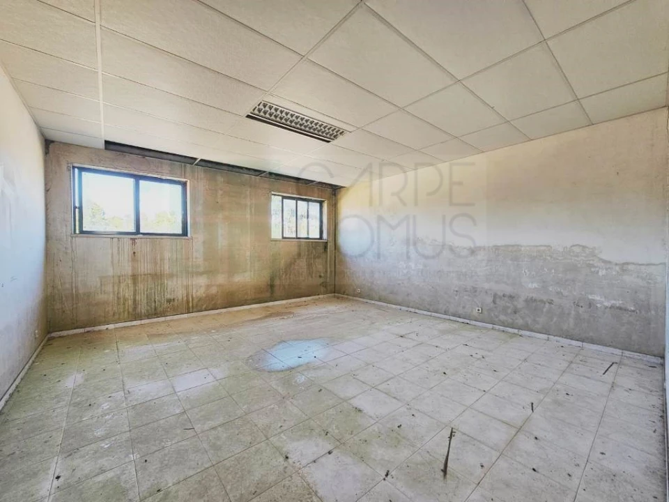 Armazém para Venda em Pelariga Foto 35