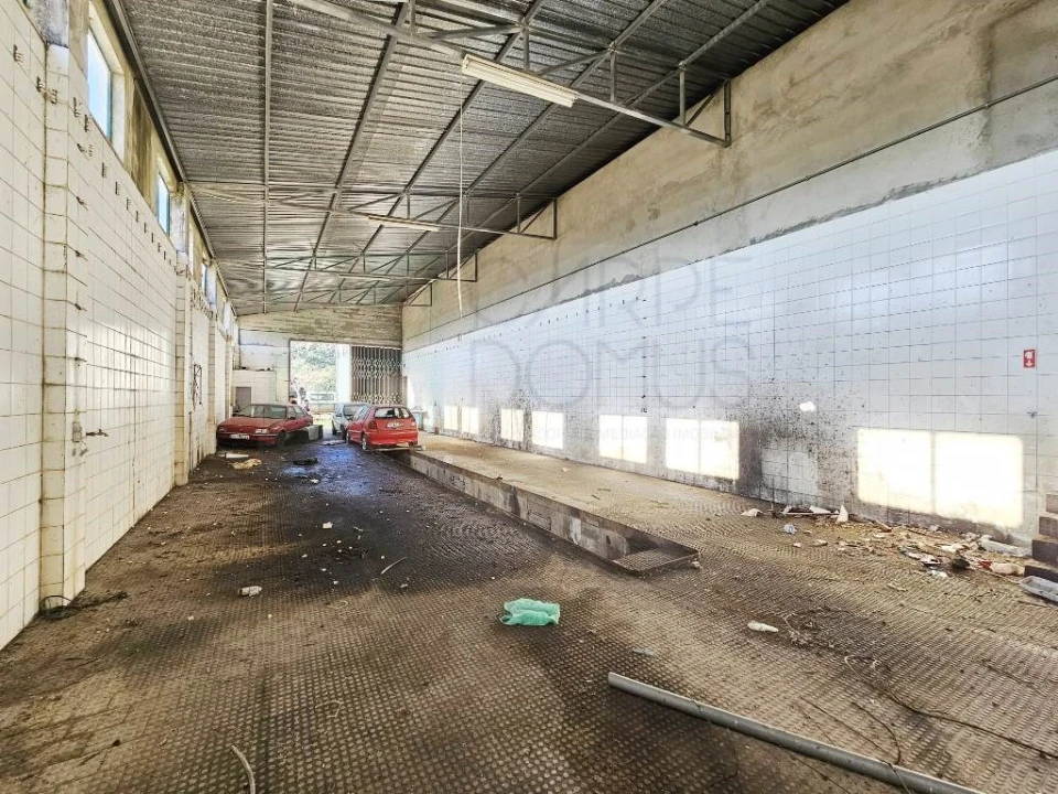 Armazém para Venda em Pelariga Foto 42