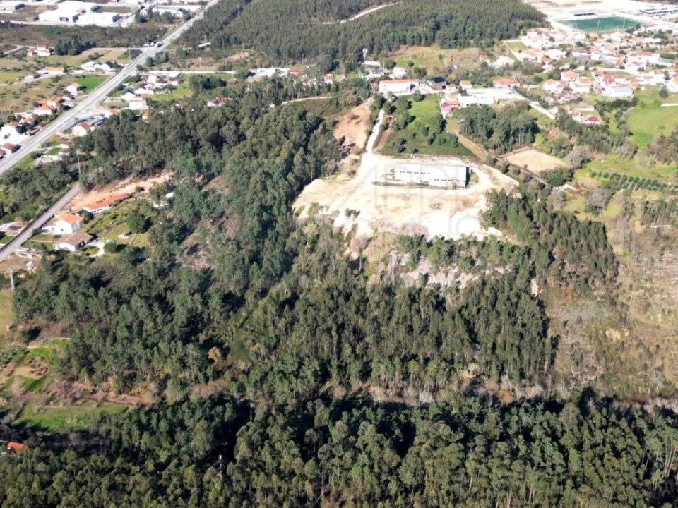 Armazém para Venda em Pelariga Foto 48